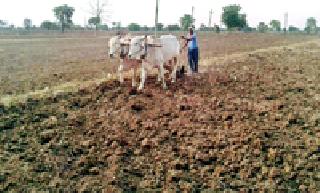 Biliraja busy in the summer | बळीराजा उन्हाळवाहीत व्यस्त Biliraja busy in the summer | बळीराजा उन्हाळवाहीत व्यस्त