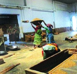 Handicraft rice for women in rural areas | ग्रामीण भागातील महिलांसाठी हातसडीच्या तांदळाचा उपक्रम Handicraft rice for women in rural areas | ग्रामीण भागातील महिलांसाठी हातसडीच्या तांदळाचा उपक्रम