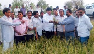 Visit to the damaged area | नुकसानग्रस्त भागाला भेट Visit to the damaged area | नुकसानग्रस्त भागाला भेट