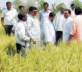 Take a quick survey of the loss | नुकसानीचे त्वरित सर्वेक्षण करा Take a quick survey of the loss | नुकसानीचे त्वरित सर्वेक्षण करा