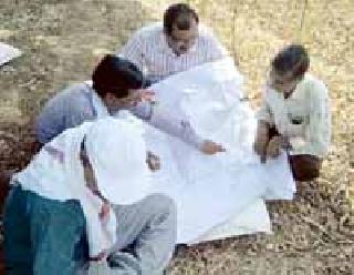 Nimboli (rooftops) rehabilitation was delayed | निंबोली (शेंडे) पुनर्वसनचा तिढा सुटला Nimboli (rooftops) rehabilitation was delayed | निंबोली (शेंडे) पुनर्वसनचा तिढा सुटला