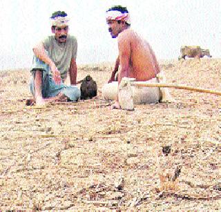 We are afraid of drought | दुष्काळाचे आम्हा काय ते नवल We are afraid of drought | दुष्काळाचे आम्हा काय ते नवल