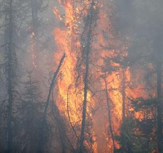 Millions of civilians displaced due to fire in Canada | कॅनडामधल्या आगीमुळे लाखो नागरिक विस्थापित