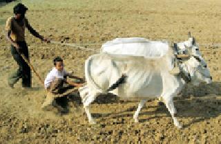 पूर्व मशागतीच्या कामाला वेग