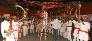 Royal procession: - | शाही मिरवणूक :-