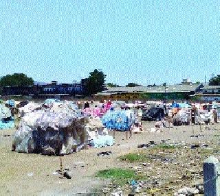 Tribal BIRDHAD in Dandekar grounds of Gothanpur | गोठणपूरच्या दांडेकर मैदानात आदिवासींचे बिऱ्हाड