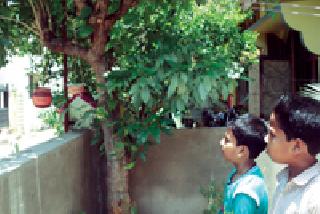 Sameer and dynasty come to meet birds | समीर व वंशच्या भेटीला येतात पक्षी Sameer and dynasty come to meet birds | समीर व वंशच्या भेटीला येतात पक्षी
