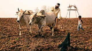 Stone farming ... | दगडाची शेती... Stone farming ... | दगडाची शेती...