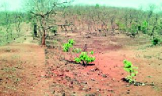 'That' perforation of the Pausal pond | ‘त्या’ पाझर तलावाला दुरुस्तीचे वेध 'That' perforation of the Pausal pond | ‘त्या’ पाझर तलावाला दुरुस्तीचे वेध