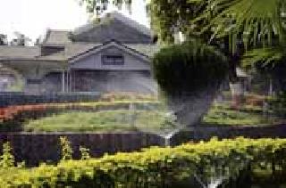 Flowers Green Flowers ...: | भर उन्हात फुलली हिरवळ... : Flowers Green Flowers ...: | भर उन्हात फुलली हिरवळ... :