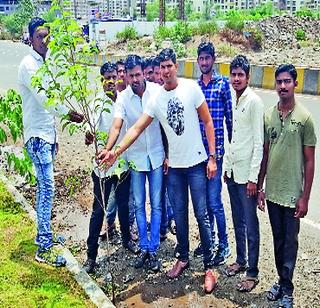 Plantation from youth in Pink City area | पिंक सिटी भागामध्ये तरुणांकडून वृक्षारोपण