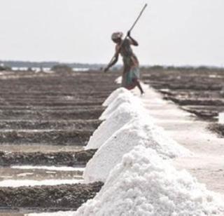 Rehabilitate landscapes in the middle! | मिठागरातील भूमिपुत्रांचे पुनर्वसन करा!