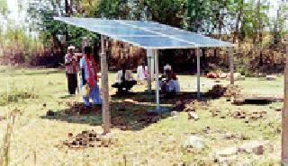 Solar energy in the savvy forest: | कवडशी जंगलात सौर ऊर्जा :