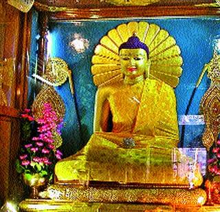 The collection of Buddha idol! | छंद बुद्धमूर्ती संग्रहाचा !