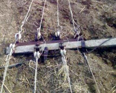 A month and a half came to Mahavitaran awake | दीड महिन्यांनी आली महावितरणाला जाग