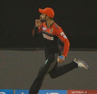 Bangalore beat Bangalore in the playoffs | दिल्लीचा पराभव करत बॅँगलोरची प्लेऑफमध्ये धडक