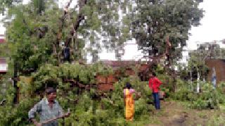 Havoc in the cyclone district | चक्रीवादळाचा जिल्ह्यात कहर