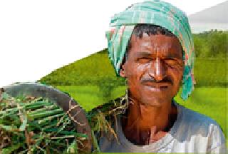 Remedies to 847 farmers | ८४७ शेतकऱ्यांना दिलासा