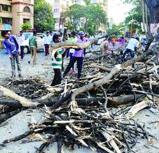 The trees on Matheran Road dried up | माथेरान रोडवरील झाडे सुकली