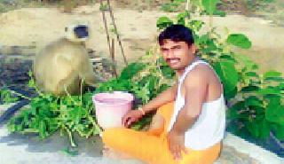 तहान :
