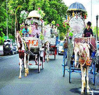 Taxi and autorickshaw licenses for horse racing drivers | घोडागाडी चालकांना मिळणार टॅक्सी आणि रिक्षाचे परवाने