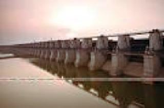 Gosekhurd's water is a boon for Patheri village | गोसेखुर्दचे पाणी ठरले पाथरी गावासाठी वरदान