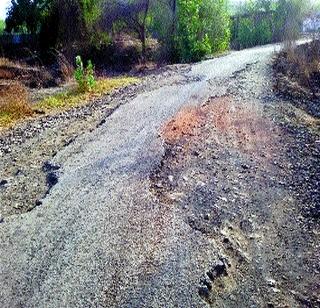 Road blocks of Wada taluka | वाडा तालुक्यातील रस्त्यांची चाळण