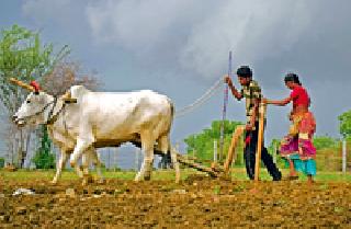 The speed of the pre-harvesting season | हंगामपूर्व मशागतीला वेग