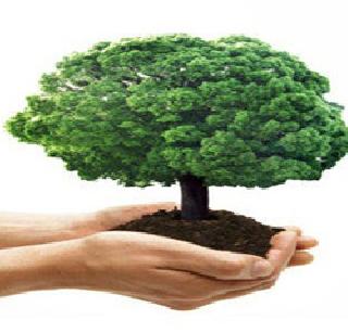 Complete the goal of planting 50,000 trees | पन्नास हजार वृक्ष लागवडीचे उद्दिष्ट करणार पूर्ण