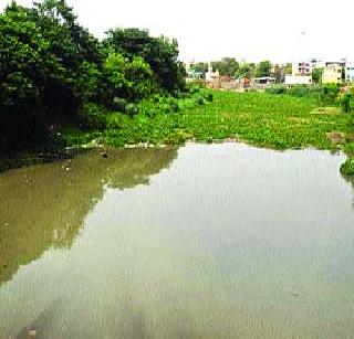 On the river purification paper | नदी शुद्धीकरण कागदावरच On the river purification paper | नदी शुद्धीकरण कागदावरच