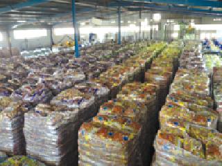Unauthorized stock in warehouses | गोदामांमध्ये अनधिकृत साठा Unauthorized stock in warehouses | गोदामांमध्ये अनधिकृत साठा