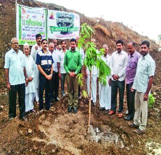 Organizing plantation, distribution of seedlings, public awareness rally | वृक्षारोपण, रोपांचे वाटप, जनजागृती रॅलीचे आयोजन