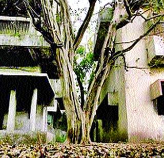 Let the guilty be hanged on the Gulberg issue | गुलबर्गप्रकरणी दोषींना फाशीच द्या Let the guilty be hanged on the Gulberg issue | गुलबर्गप्रकरणी दोषींना फाशीच द्या