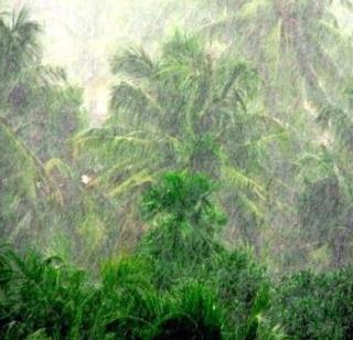 Awesome rainy wait | जोरदार पावसाची प्रतीक्षा