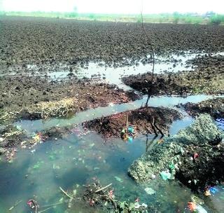 Pipeline fungi; Millions of liters of water wastage | पाइप लाइन फुटली; लाखो लीटर पाण्याचा अपव्यय