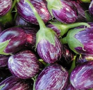 Thirty lakhs of three lakhs of eggplants | तीस गुंठ्यांत तीन लाखांची वांगी