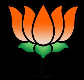 BJP's new executive | भाजपाची नवीन कार्यकारिणी