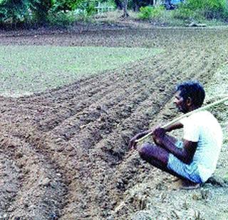 Farmer worries with rice seedlings | भात रोपे करपल्याने शेतकरी चिंतेत