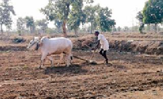 Farming work started: | मशागतीचे काम सुरू :