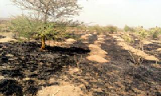 Fire in forest department nursery | वनविभागाच्या नर्सरीला आग Fire in forest department nursery | वनविभागाच्या नर्सरीला आग
