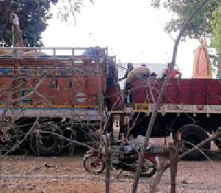 Stolen paddy stolen? | चोरीच्या धान्यावर शिक्कामोर्तब?