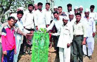 Green Activities in 20 villages of Sinnar taluka | सिन्नर तालुक्यातील २० गावांमध्ये हरित उपक्रम