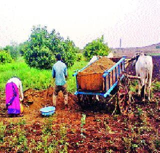 Rice awaiting rain! | भाताचे आगर पावसाच्या प्रतीक्षेत!