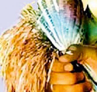 290 crore loan to 28 thousand farmers | २८ हजार शेतकऱ्यांना २९० कोटींचे कर्ज 290 crore loan to 28 thousand farmers | २८ हजार शेतकऱ्यांना २९० कोटींचे कर्ज
