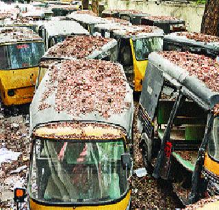 Transport Office's 'Scatter Depot' | परिवहन कार्यालय की ‘भंगार डेपो’