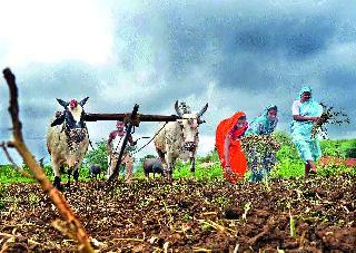 In the Baglan area, sowing is not enough due to rain | बागलाण परिसरात पावसाअभावी पेरण्या लांबल्या