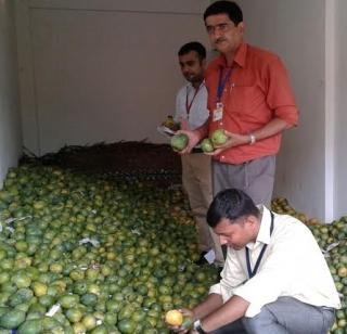 Five tonnes of mangoes grown in chemistry confiscated in Goa | रसायनाने पिकवले जाणारे पाच टन आंबे गोव्यात जप्त