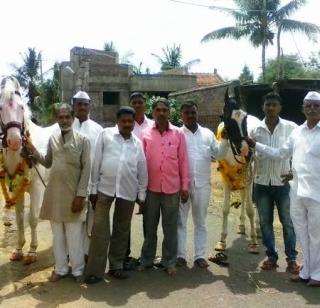 Mauli's horse flew to Alankapuri | माऊलींचे अश्व अलंकापुरीकडे रवाना