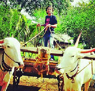 Atul's bullock cart | अतुलची बैलगाडी सवारी