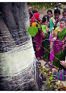 Wishing her long life for her husband | वटपूजनाने पतीच्या दीर्घायुष्याची कामना